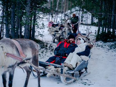 Guests on a reindeer sled ride through the winter landscape at Camp Heggeli