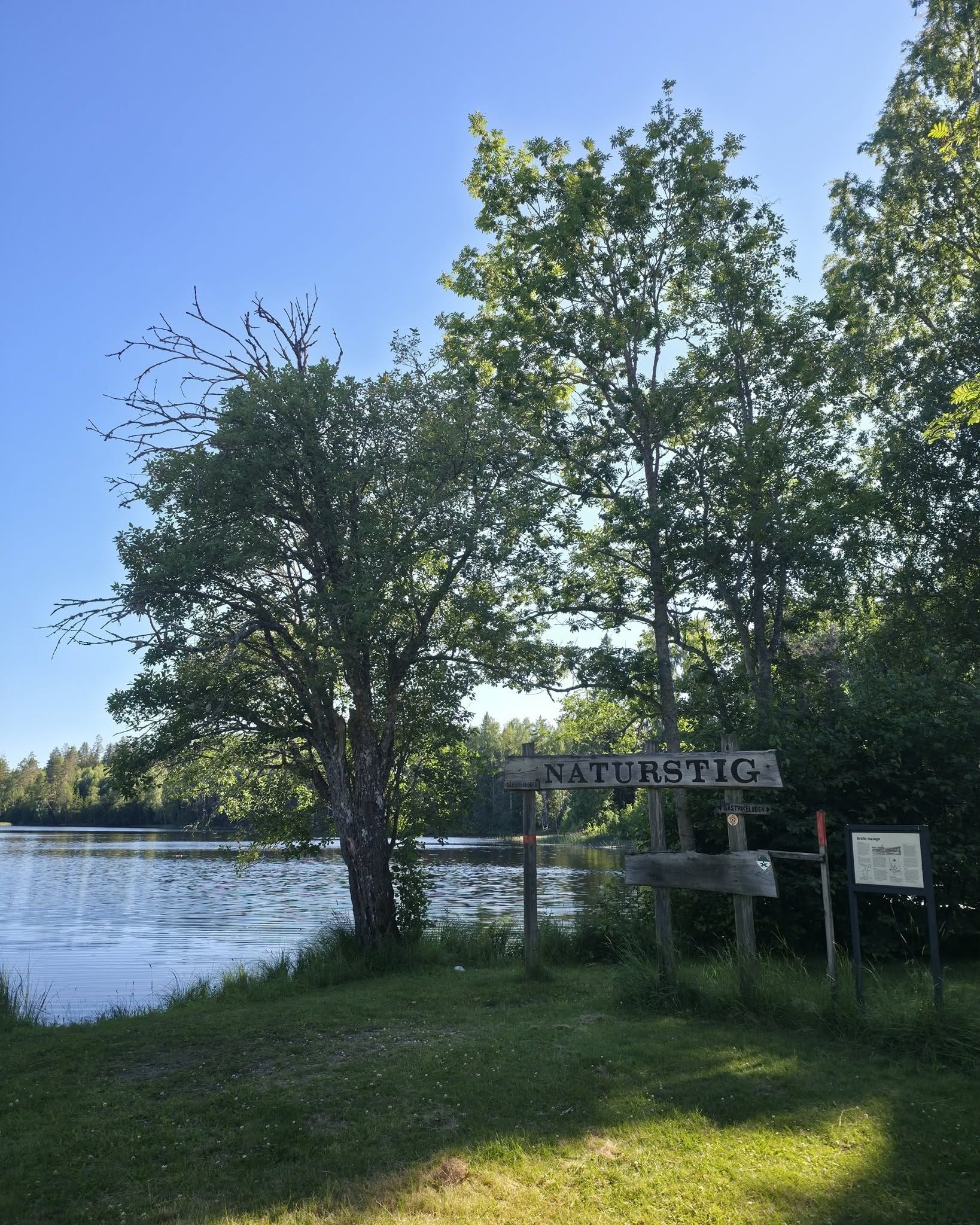 Kratte Masugn – Torsåker