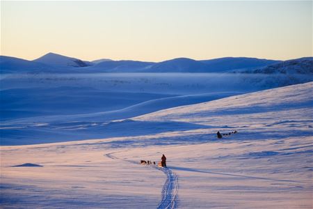 A dog sled team following a trail through an open, snow-covered winter landscape with low mountains in the background.