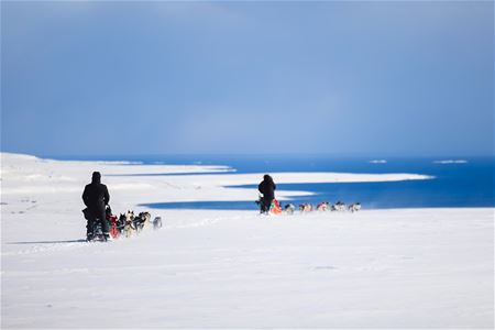 Two dog sled teams travelling through a snowy coastal landscape with the sea and winter scenery in the background.
