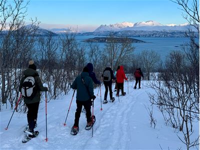 A group follows their guide through a snow-covered woodland with mountain views.