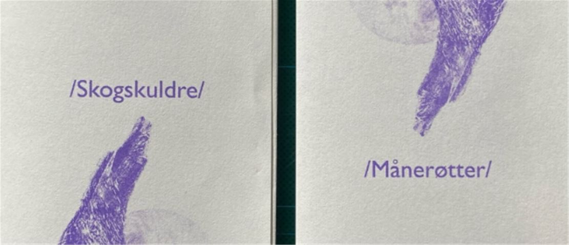 cbis:2898806-1
