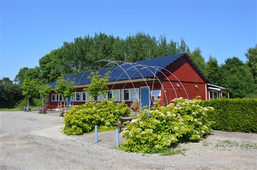 cbis:443920-1