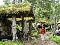 Börningsbergets naturresevat – Los