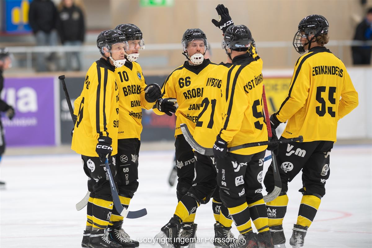 Broberg/Söderhamn Bandy  - Villa Lidköping BK image 1