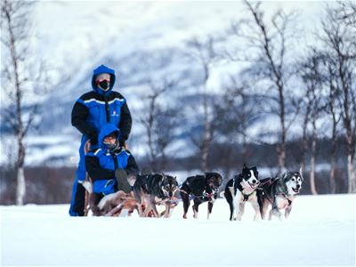 En hundekjører i blå vinterklær kjører et spann med huskyer gjennom snøen på en hundesledetur utenfor Tromsø.