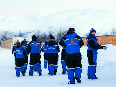 Gjester i blå vinterklær samles utendørs på en hundegård utenfor Tromsø under en guidet hundekjøringsopplevelse.
