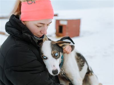 En gjest med rosa lue koser med en husky på en hundegård utenfor Tromsø, som en del av en hundekjøringsopplevelse.