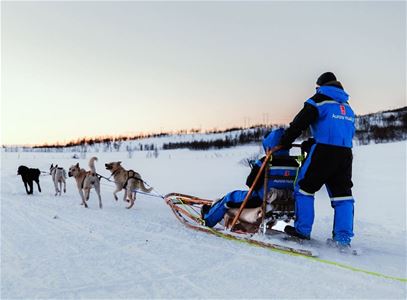 En hundekjører styrer en slede trukket av huskyer gjennom et snødekt vinterlandskap utenfor Tromsø.