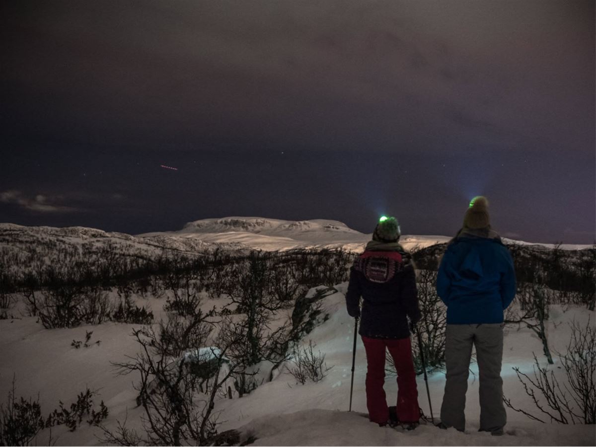 Kveldstrugetur i Havsdalen  image 1