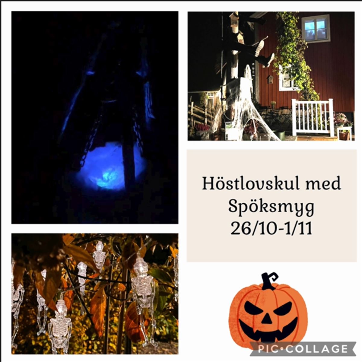 Höstlovskul med Spöksmyg image 1