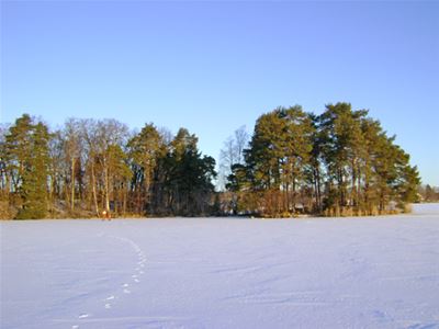 Lindön, vinterbild på snöklädd sjö.