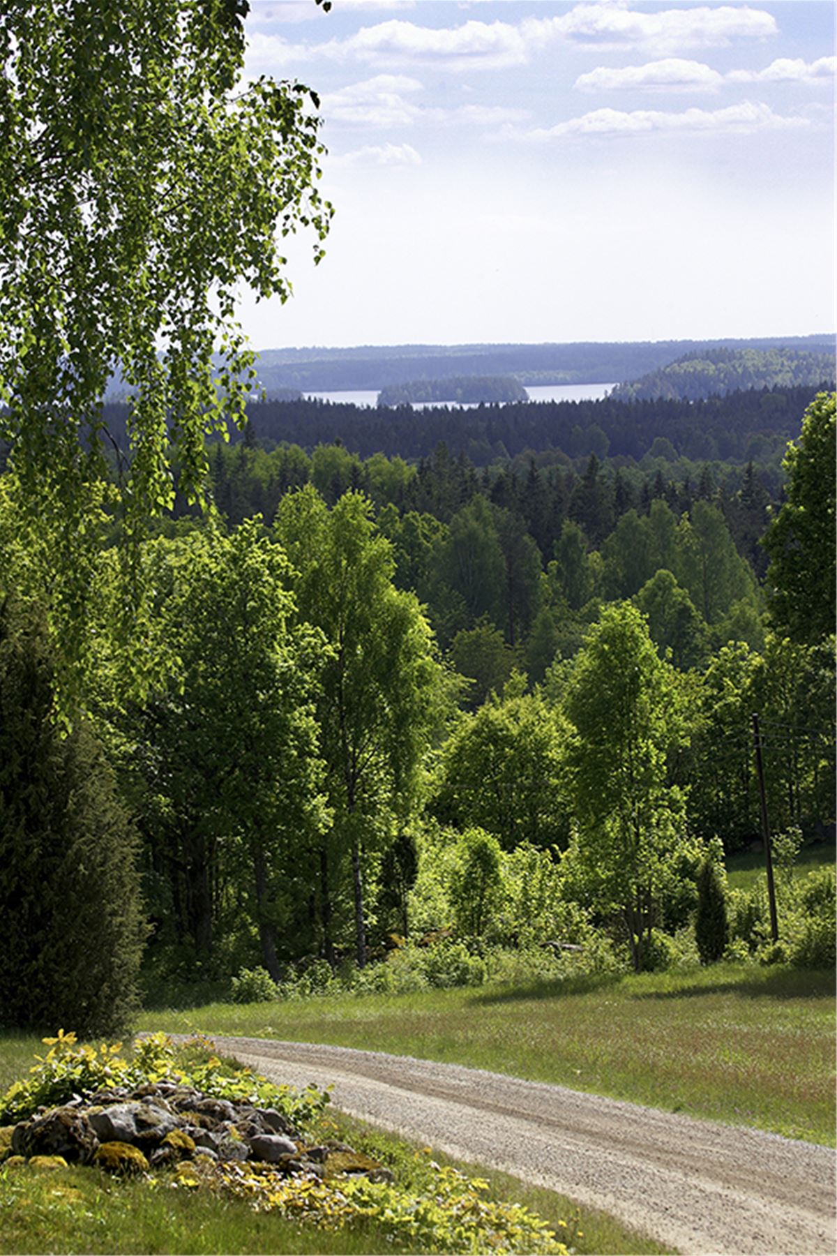 Vandring: Vandringsleden Västra Sigfridsleden  image 1