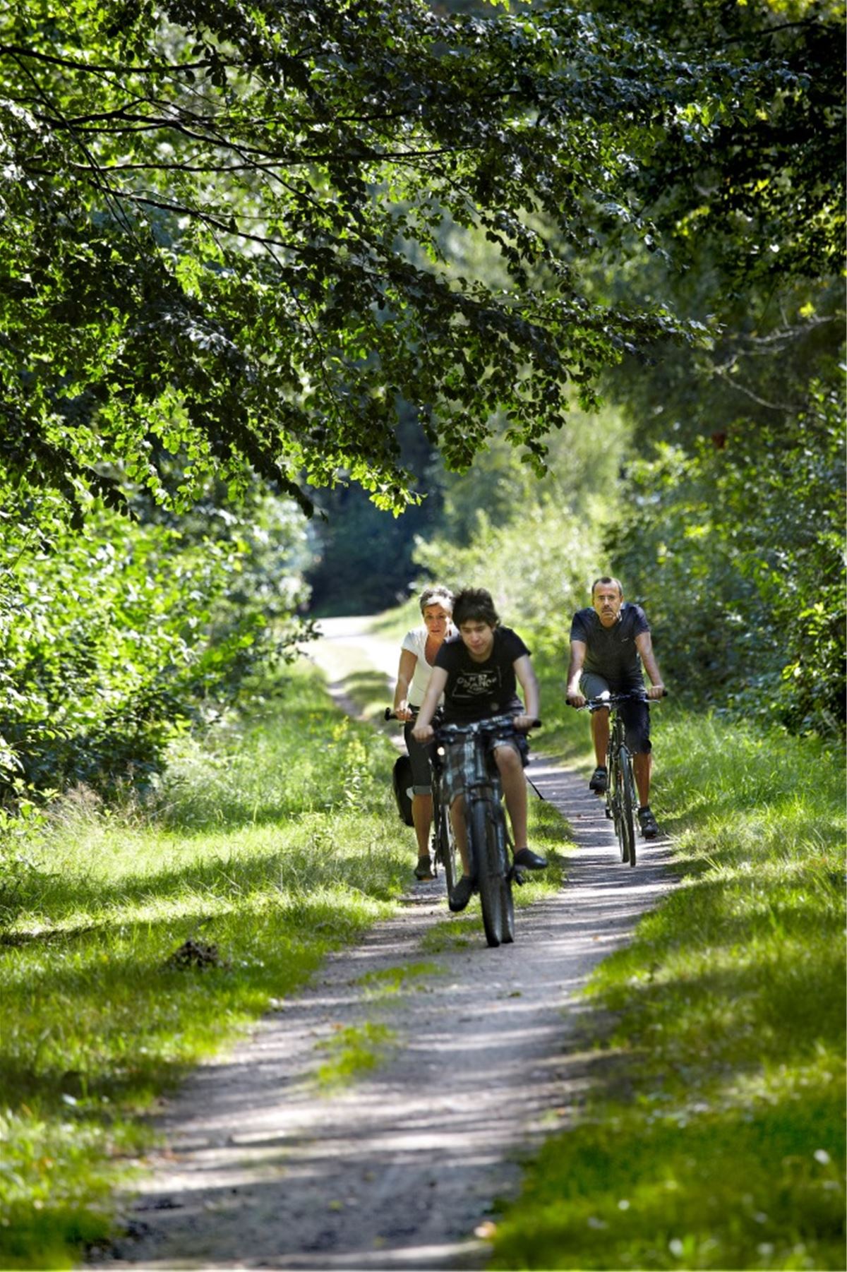 Cycling path Dansjön image 1