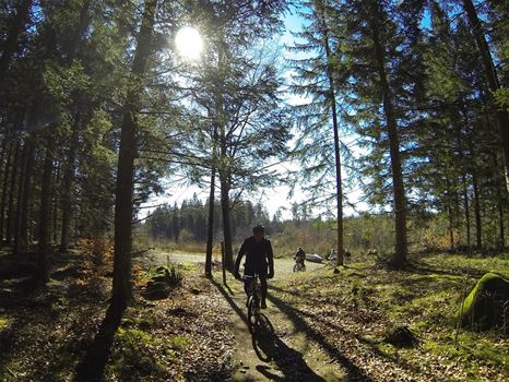 cykling i trollskogen