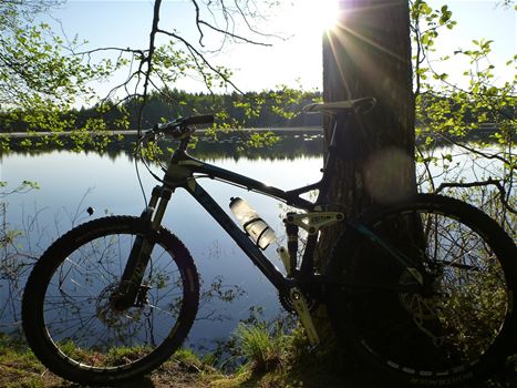 cykling i trollskogen
