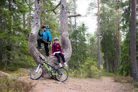 Two children climbing a tree, both have bicycle helmets, there is a bicycle leaning against the tree.