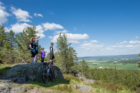 Two adults and two children are standing on a large rock and looking at the view, next to the rock is a bicycle.
