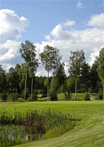 A pond, a golf green, forest in the background.