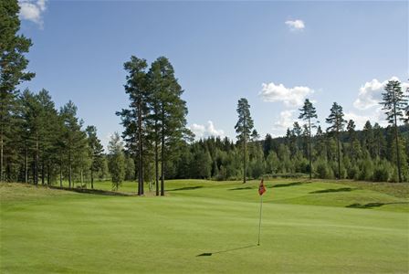 A golf green, a flag, forest in the background.