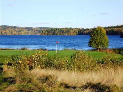 Vegetation, a golf green with a flag, a lake in the background.