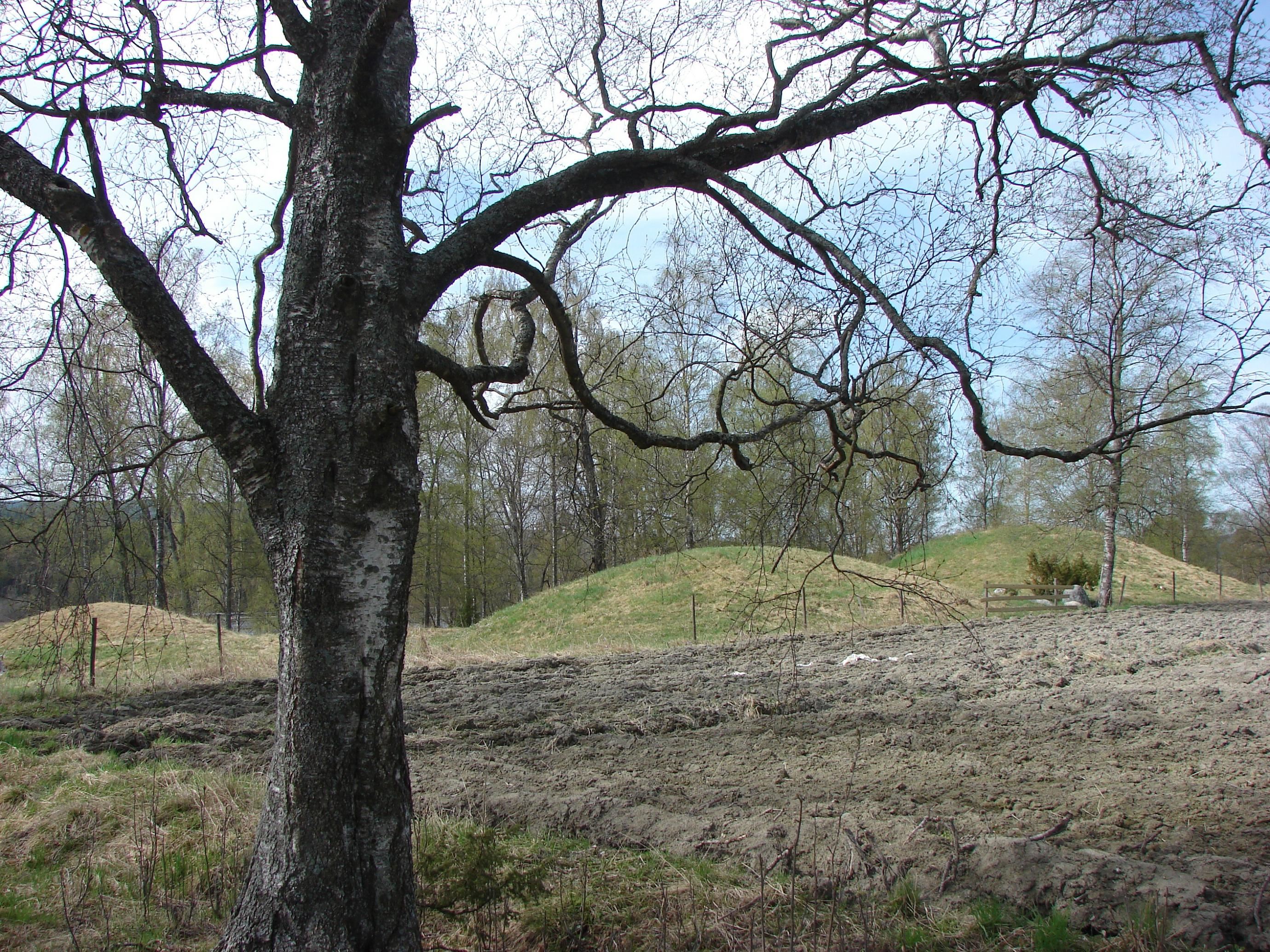 Gravhögarna i Holm och Björkå