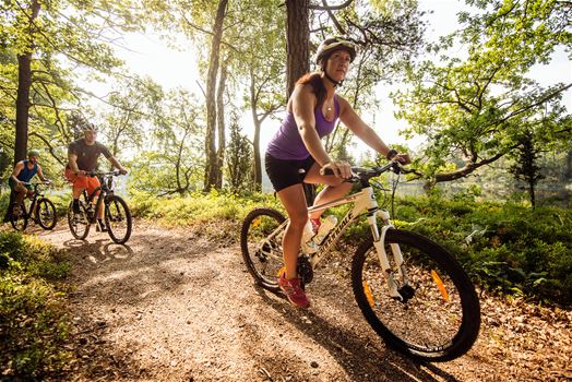cykling i trollskogen