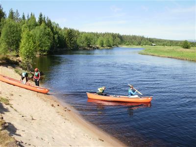 Två personer paddlar kanot i älven och två skall skjutsa ut en kanot i älven. 