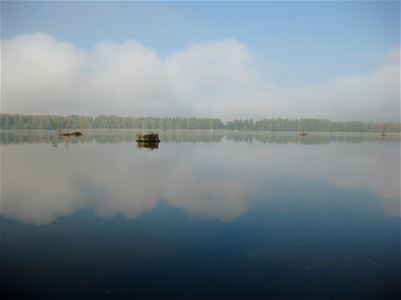 Bild på sjön.
