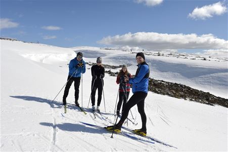 Four cross-country skiers in the mountains.