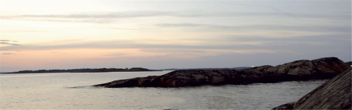 Lyyskis resor/ Lyyskin matkat image 1