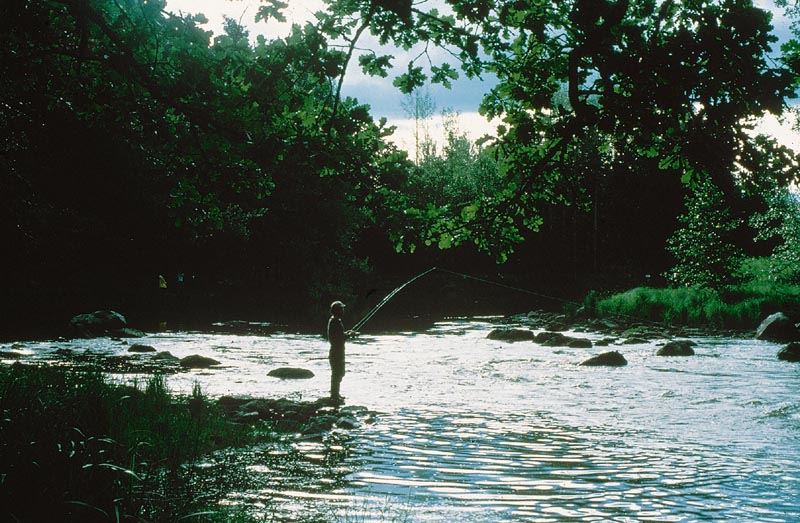 Färnebofjärdens Fiskevårdsområde