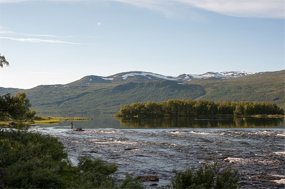 Tärnaleden image 1