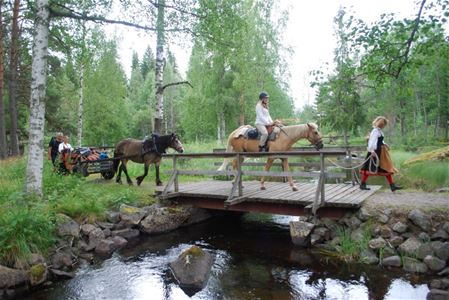 Hästar som går i led över bron.