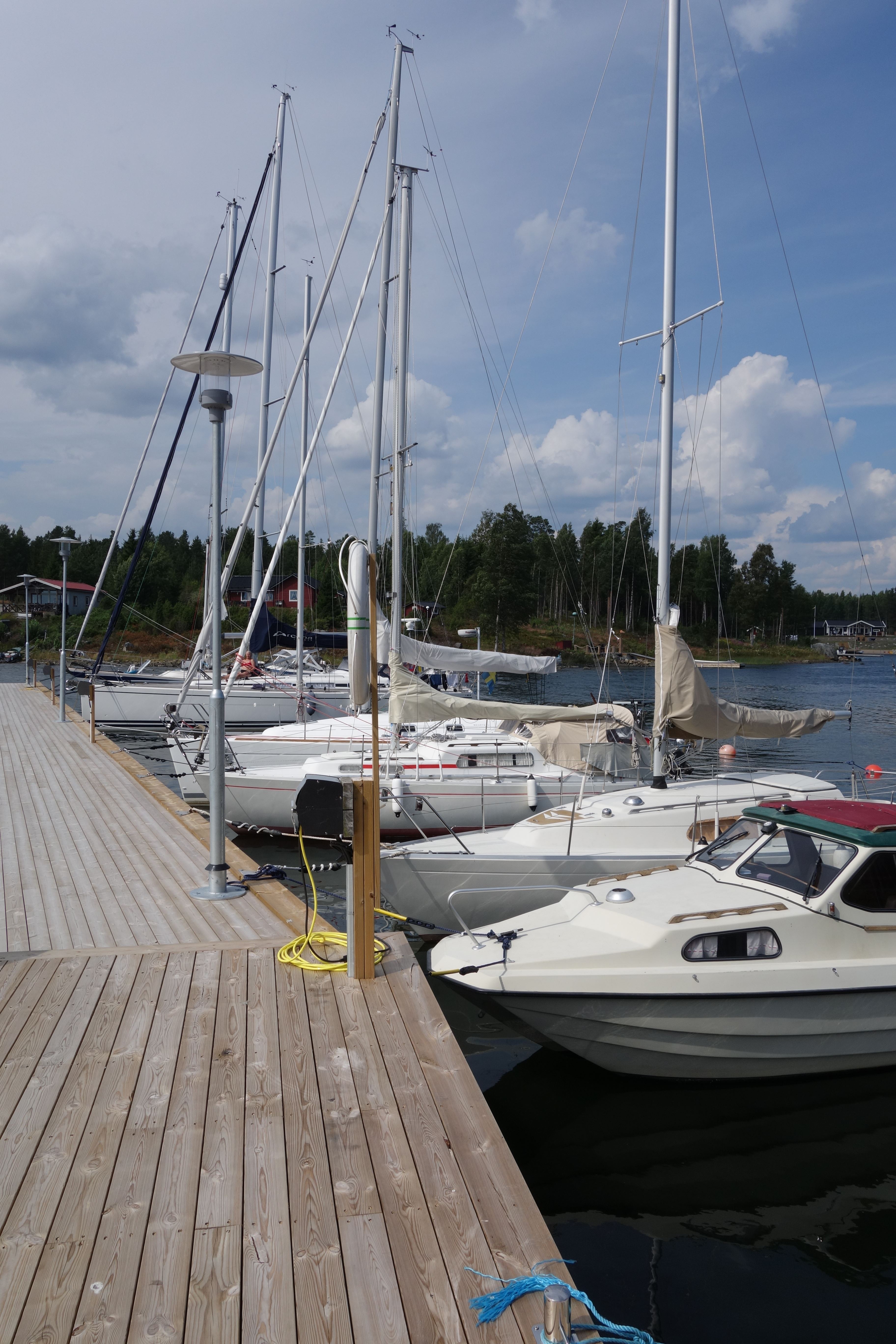 cbis:1379651-