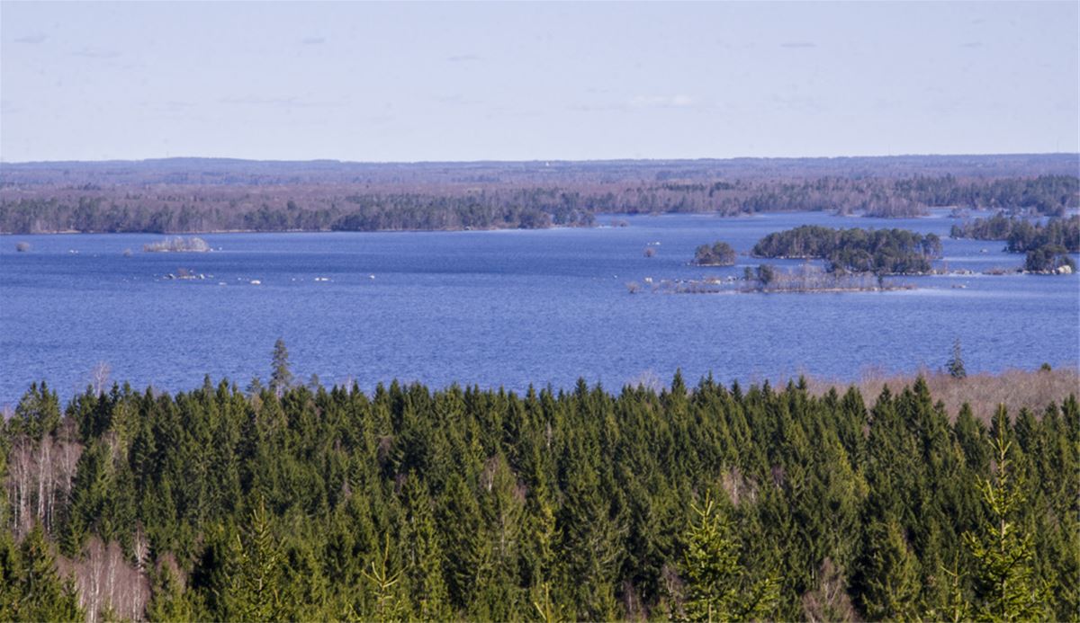 Hiking trails in Åsnenarea: Ramnaberg, the Åsnen area’s highest point image 1