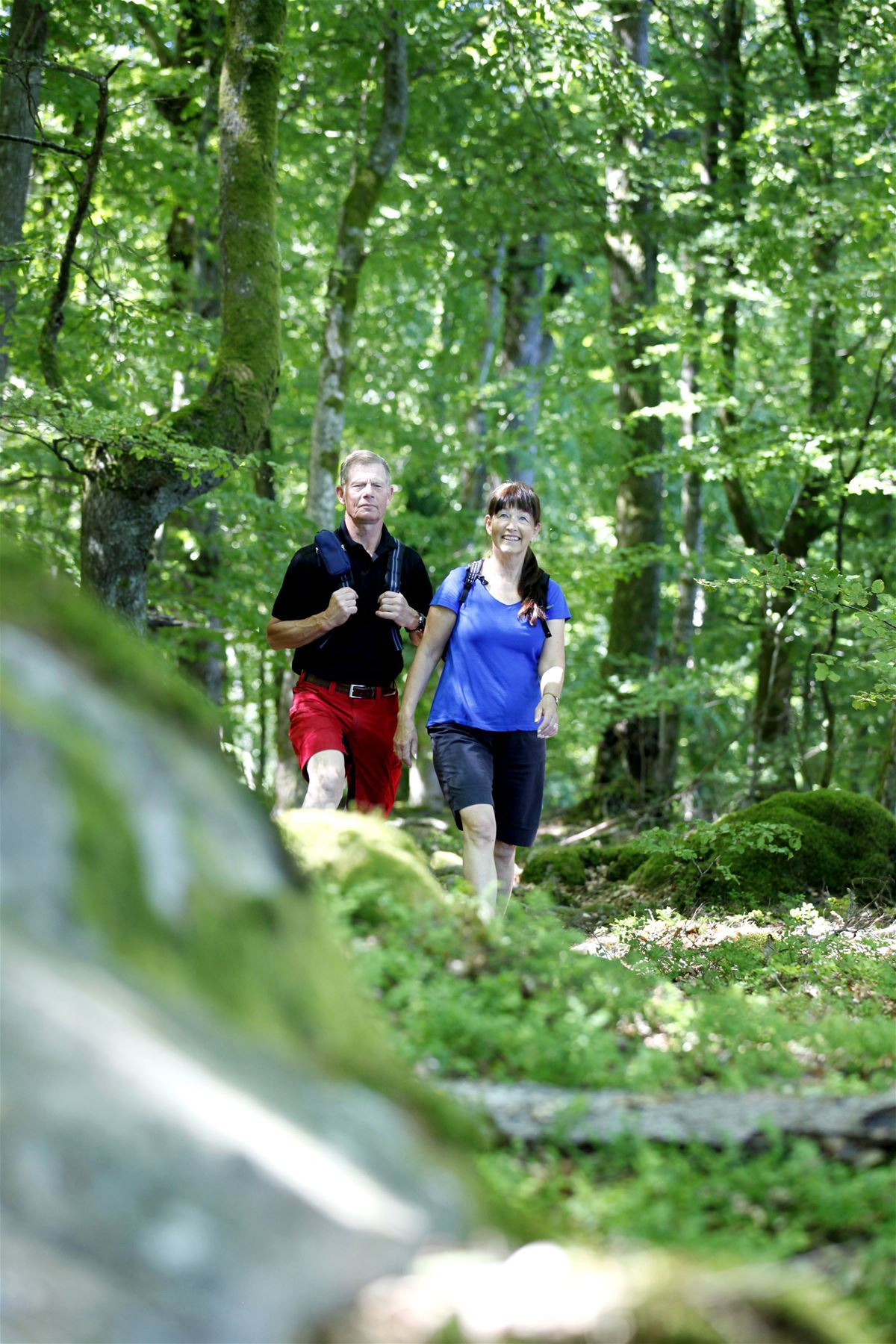 Vandring: Vatten i fyra väderstreck image 1
