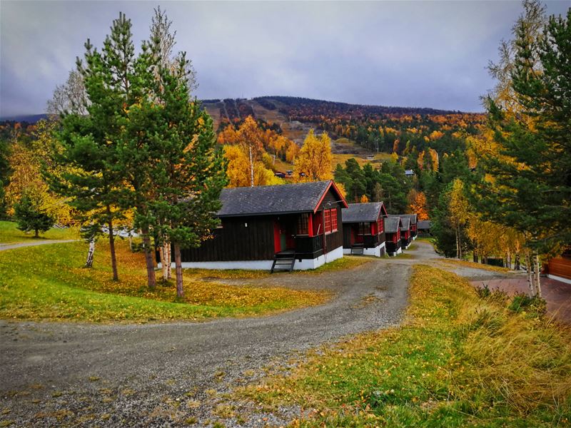 Trolltun Gjestegård Dombås