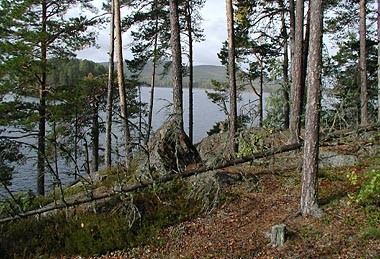 Storön - naturreservat – Bergsjö