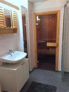 Bathroom with sauna.