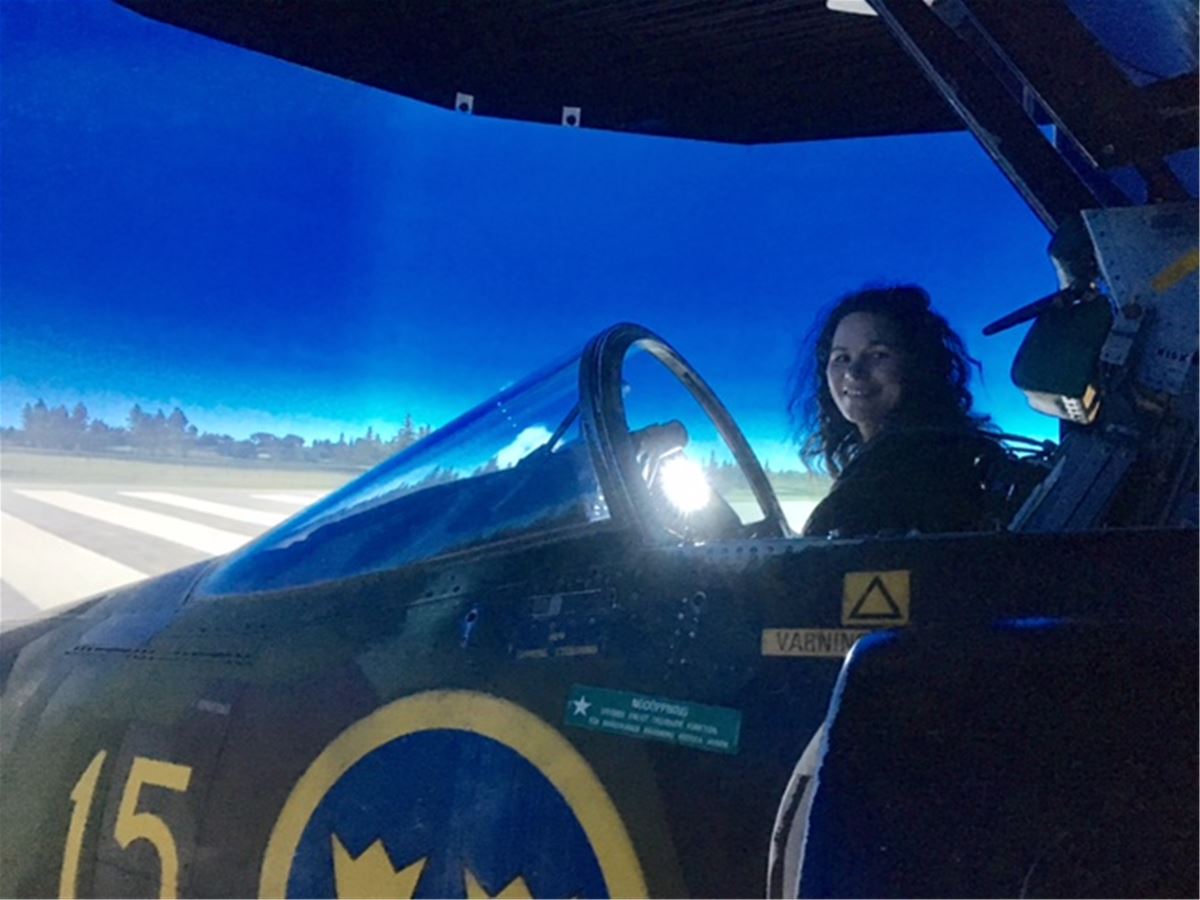 Viggen flight simulator image 1