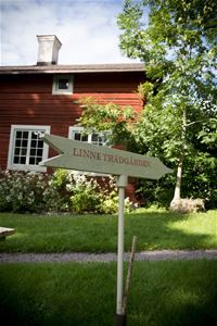 A red older timber building, gravel walk, sign Linne trädgården.