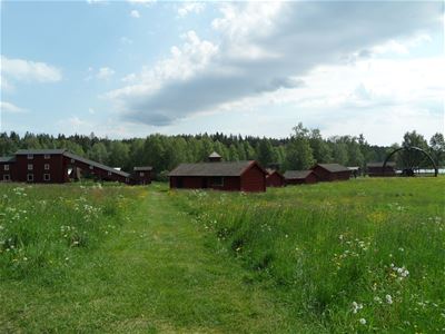En blomstrande äng med flera gamla byggnader som hör till Ludvika Gammelgård. 