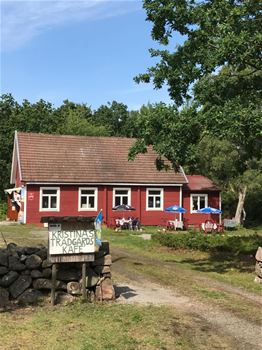 cbis:1538464-1