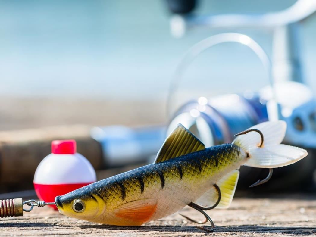 fiskedrag i form av en aborre