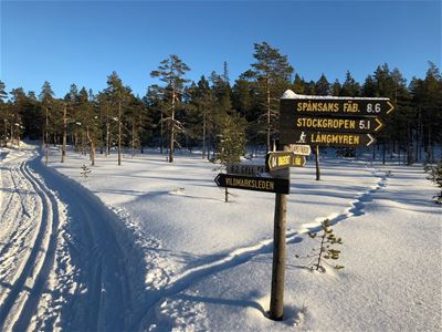 winter view of ski trails.
