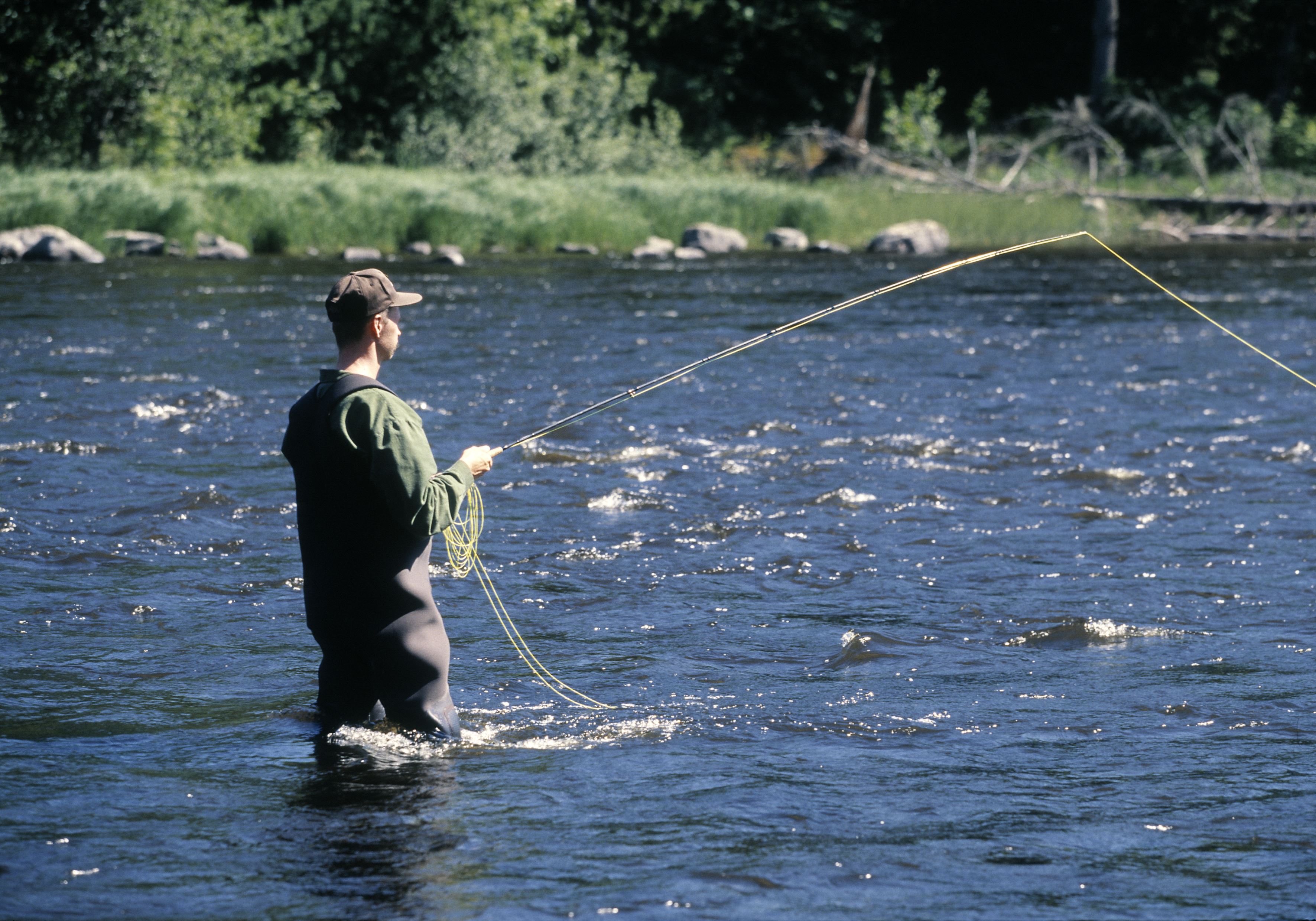 Gysingeforsarnas Fiskevårdsområde