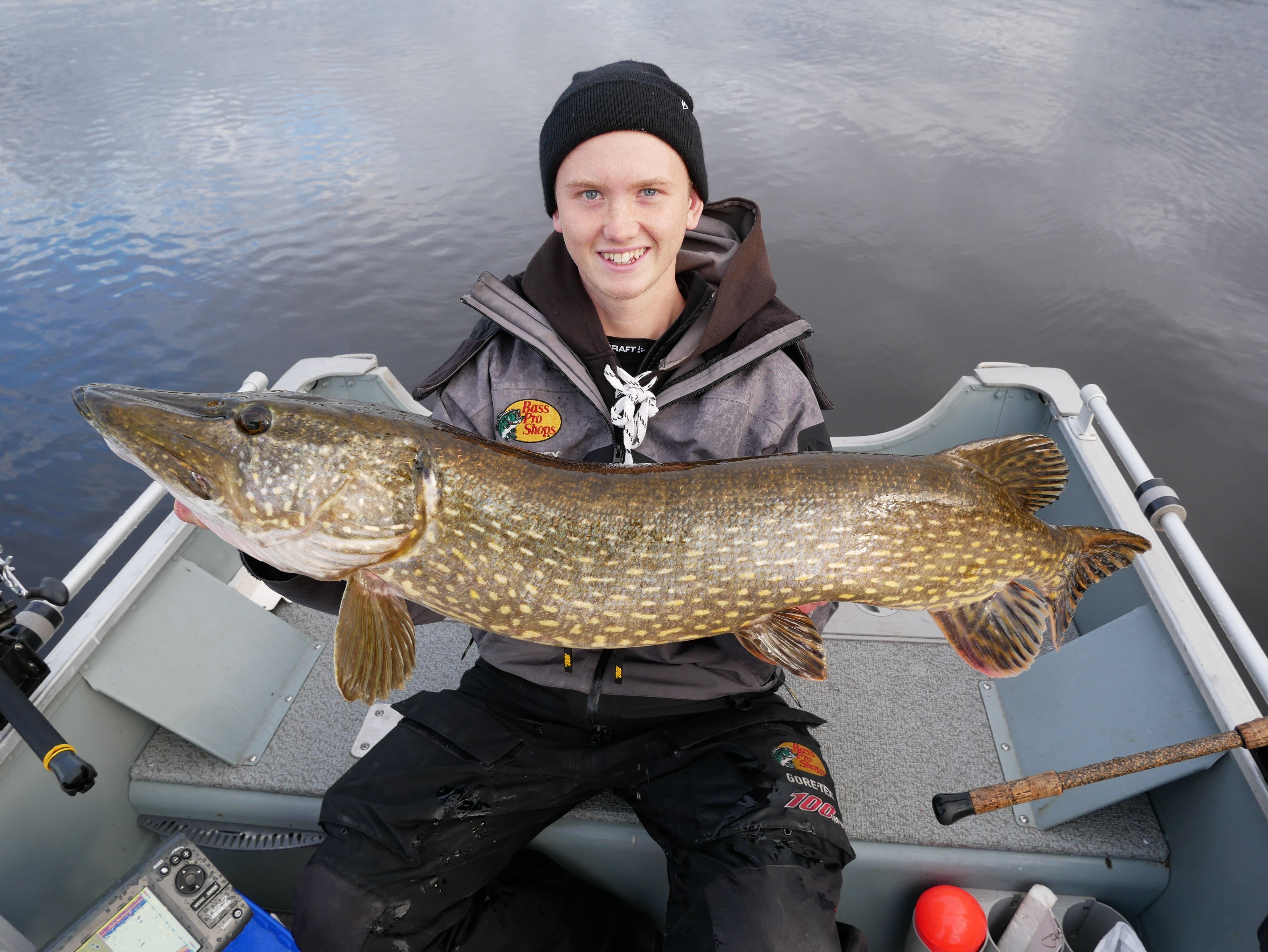 Pike & Perch Fishing - fiskeguider och båtuthyrning – Ilsbo