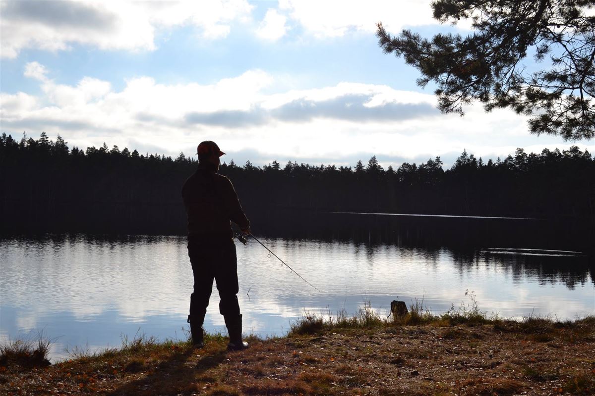 Fiske i Älganässjön image 1