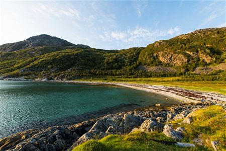 Arctic nature, beach and ocean